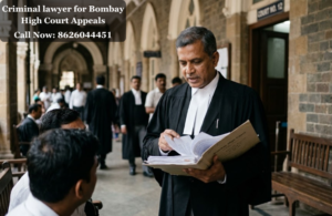 Criminal lawyer for Bombay High Court Appeals