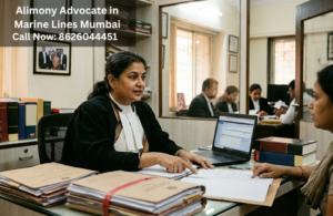 Alimony Advocate Marine Lines Mumbai