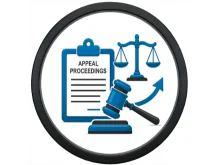 Appeal Proceedings