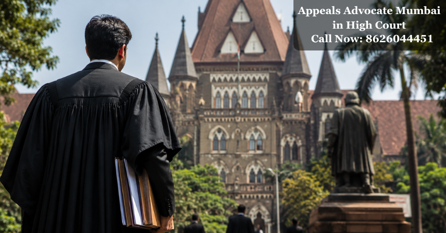 Appeals Advocate in Mumbai High Court