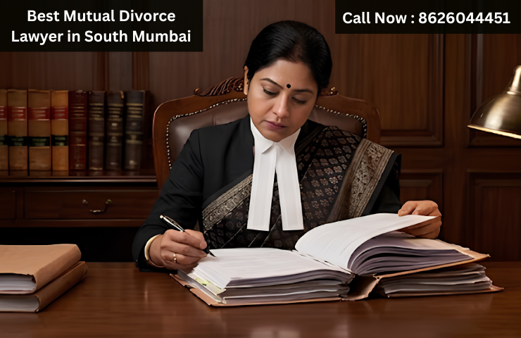Best Mutual Divorce Lawyer in South Mumbai