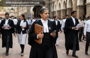 EOW Criminal Lawyer Advocate