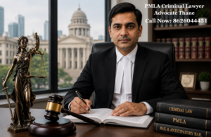PMLA Criminal Lawyer Advocate Thane