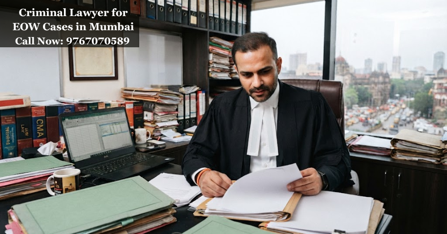 Criminal Lawyer for EOW Cases in Mumbai