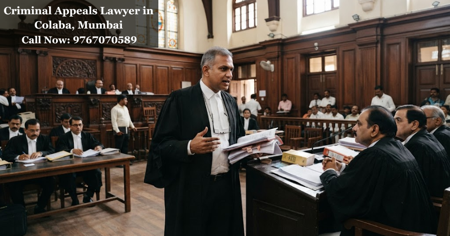 Criminal Appeals Lawyer in Colaba, Mumbai